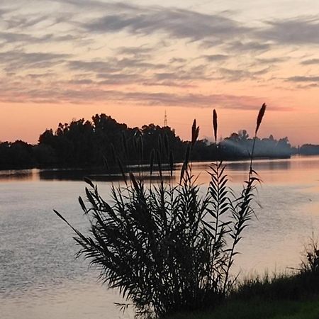 Habitacion Doble Con Aseo Compartido Coria del Río エクステリア 写真